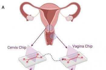 link to library blog - Human Cervix Chip Culture