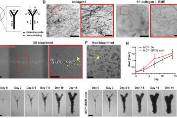 link to library blog - 3D Bioprinting PureCol EZ Gel