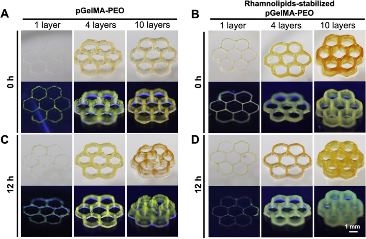 Advanced BioMatrix PhotoGel And Ruthenium Novel Bioink